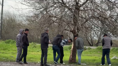 Diyarbakır'da ağaca yıldırım isabet etmesi sonucu 2 çocuk öldü