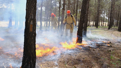 Yaz sezonu öncesi orman yangını tatbikatı