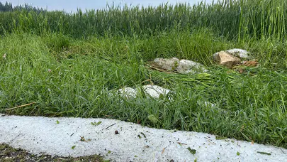 Osmaniye'de dolu ekili tarım alanlarına zarar verdi