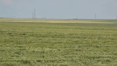 Dicle Üniversitesi yerleşkesinde petrol için 6 sondaj kuyusu açılacak