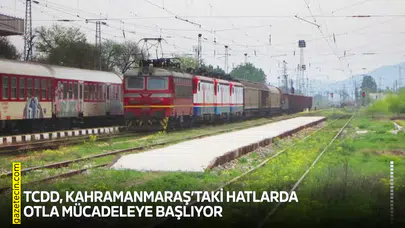 TCDD, Kahramanmaraş’taki hatlarda otla mücadeleye başlıyor