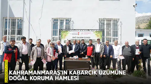 Kahramanmaraş’ın Kabarcık üzümüne doğal koruma hamlesi