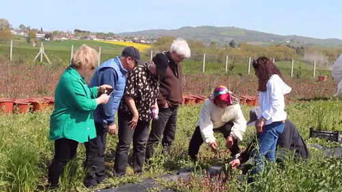 UNDP desteğiyle kadın çiftçilere ilaçsız tarım eğitimi verildi