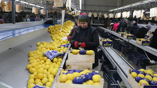 Batı Akdeniz'den ihracatın rotası Uzak Doğu, ABD ve Kanada