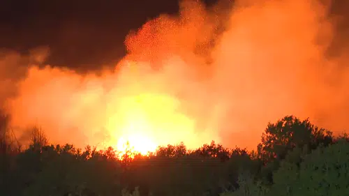 Beykoz’da ormanlık alanda çıkan yangına müdahale sürüyor