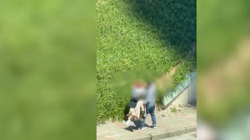 Maltepe'de sokakta bir kadına şiddet uygulayan zanlı yakalandı