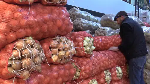 Kuru soğan ihracatı ilk çeyrekte yaklaşık 15 kat arttı