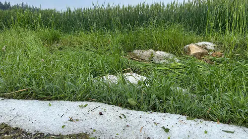 Osmaniye'de dolu ekili tarım alanlarına zarar verdi