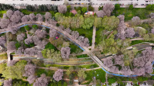 Doğanın renklerinden görsel şölen
