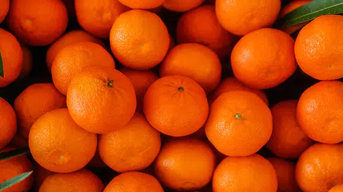 Türkiye yılın ilk çeyreğinde en fazla mandalinayı Irak'a, limonu Rusya'ya sattı