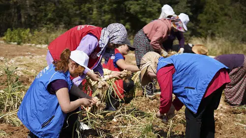 81 ilde uygulanacak gönüllü hasat etkinliği 2026 takvimi açıklandı