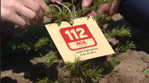 Ayla öğretmen ve öğrencilerinin adı hatıra ormanında dikilen fidanlarda yaşatılacak