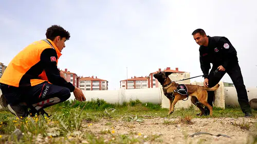 Can dostlar hayat kurtarma eğitimine sıkı hazırlanıyor