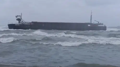 Sakarya'da kuru yük gemisi karaya oturdu