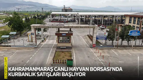 Kahramanmaraş Canlı Hayvan Borsası’nda kurbanlık satışları başlıyor