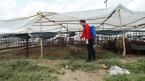 Kahramanmaraş’ta temizlik ve ilaçlama çalışmaları aralıksız devam ediyor