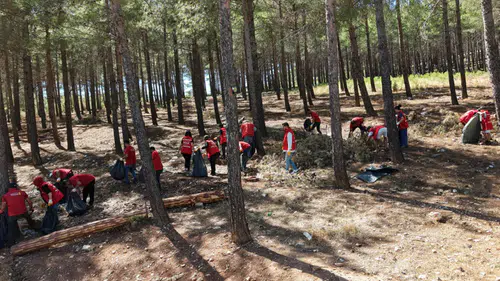Kahramanmaraş’ta “Orman Benim” seferberliği başlıyor