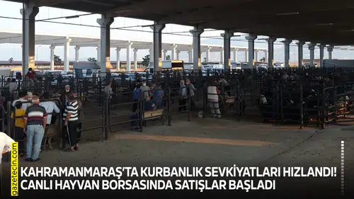 Kahramanmaraş’ta kurbanlık sevkiyatları hızlandı! Canlı Hayvan Borsasında satışlar başladı
