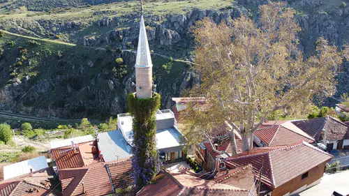 Isparta'da sarmaşıklı minare görenlerin dikkatini çekiyor