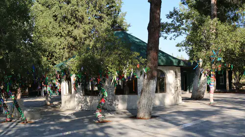 Kahramanmaraş’ta Elif Ana türbesi yerleşkesine saldıran şüpheli yakalandı