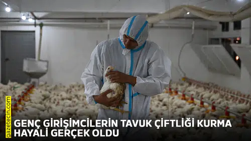 Genç girişimcilerin tavuk çiftliği kurma hayali gerçek oldu