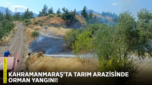 Kahramanmaraş'ta tarım arazisinde orman yangını!
