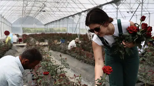Kadın girişimcinin üretici olma hayali TKDK desteğiyle gerçek oldu