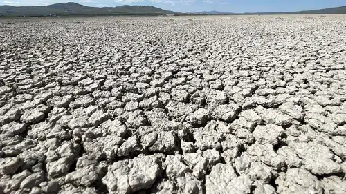 Kuraklaşmadaki artış biyolojik çeşitlilik ve insan yaşamını tehdit ediyor