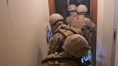 Mali suç örgütlerine yönelik soruşturmada 346 şüpheliye gözaltı kararı