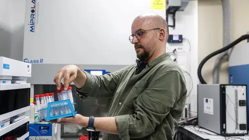 Marmara Denizi'nde bazı bölgelerde plastik kirliliği 3 katına çıktı