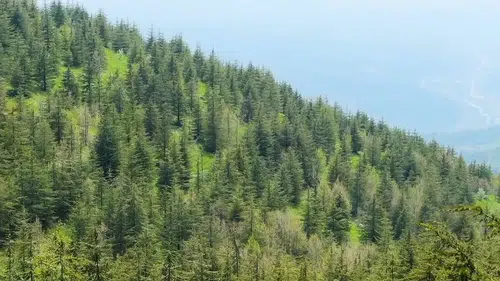 Çevreye 7 yılda toplam 4,41 milyar liralık yatırım