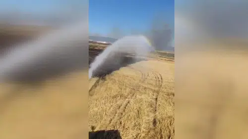Anız yangınında 700 dönüm alan zarar gördü
