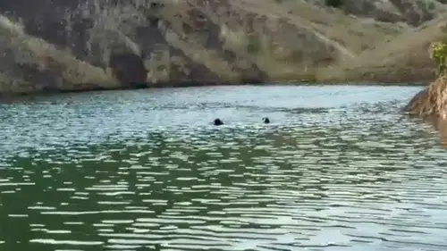 Sulama göletine giren bir çocuk daha boğuldu