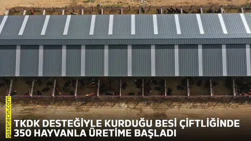 TKDK desteğiyle kurduğu besi çiftliğinde 350 hayvanla üretime başladı