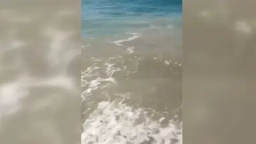 Bodrum'da denizin kirletilmesine ilişkin soruşturma başlatıldı