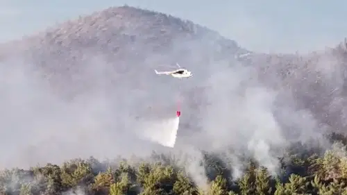 Milas'ta ormanlık alanda yangın! 1120 kişi tahliye edildi
