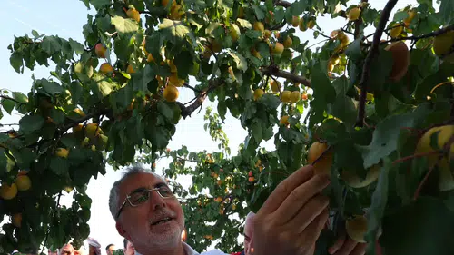 Bakan Işıkhan, Malatya’da temaslarda bulundu