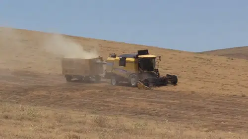 Güneydoğu'da biçerdöverler hububat ve bakliyat hasadı için tarlada