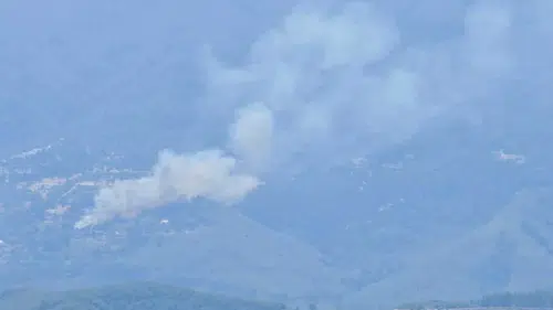 Antalya'da ormanlık alanda çıkan yangına müdahale ediliyor
