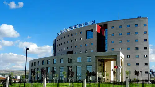 Ticaret Bakanlığı’ndan DTÖ Paneli açıklaması