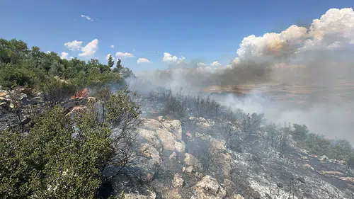 Gaziantep'te orman yangınında yaklaşık 1 hektarlık alan zarar gördü