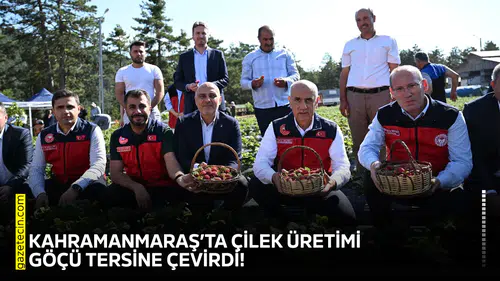 Kahramanmaraş’ta çilek üretimi göçü tersine çevirdi!