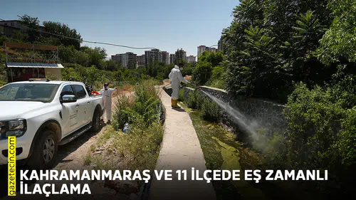 Kahramanmaraş ve 11 ilçede eş zamanlı ilaçlama