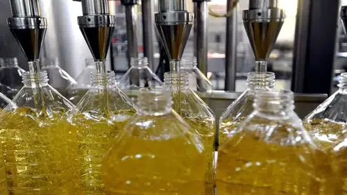 Ayçiçeğinde yeni tarife kontenjanı