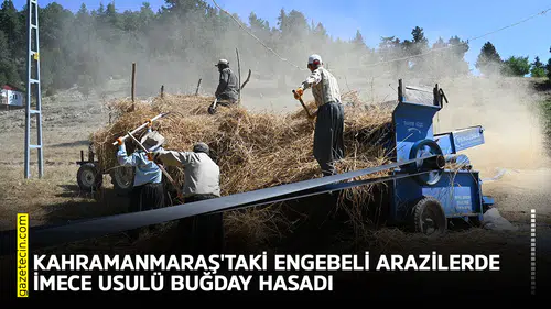 Kahramanmaraş'taki engebeli arazilerde imece usulü buğday hasadı