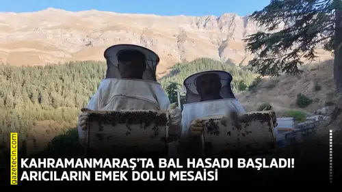 Kahramanmaraş’ta bal hasadı başladı! Arıcıların emek dolu mesaisi