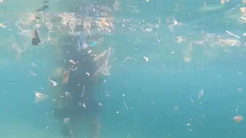 Güney rüzgarları Akdeniz kıyılarına atık taşıyor