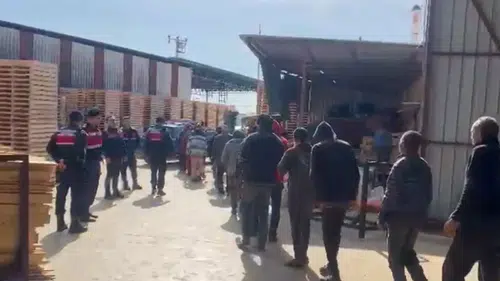 31 ilde göçmen kaçakçılığı operasyonu: 33 organizatör yakalandı
