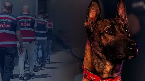 Diyarbakır’da dev uyuşturucu operasyonu!