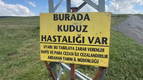 Kuduz vakası nedeniyle bir bölge karantinaya alındı